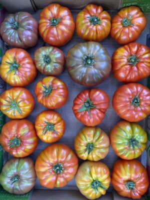 Heirloom Tomatoes